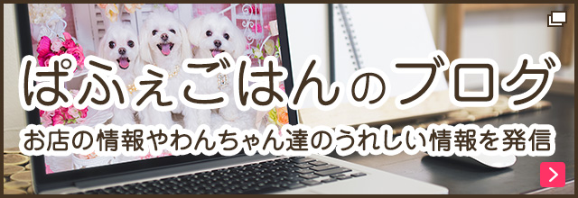 愛犬のごはん ぱふぇごはんのブログ